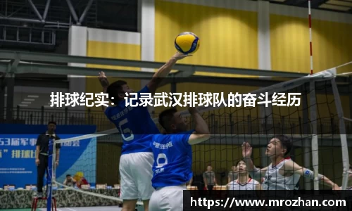EMC易倍官网
