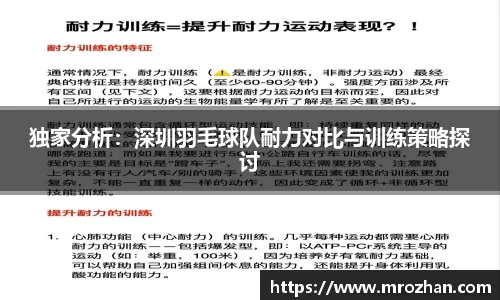 独家分析：深圳羽毛球队耐力对比与训练策略探讨