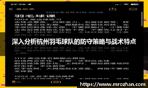 深入分析杭州羽毛球队的防守策略与战术特点