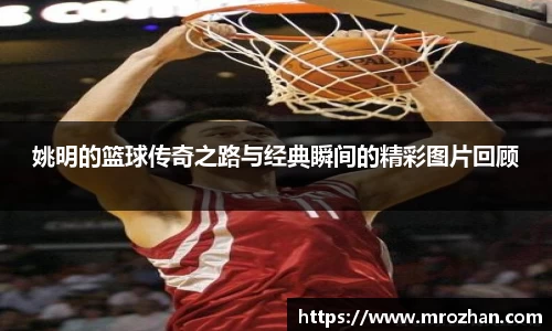 易倍emc体育网页版