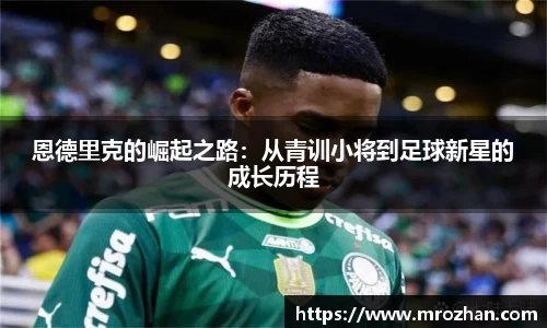 EMC易倍官网